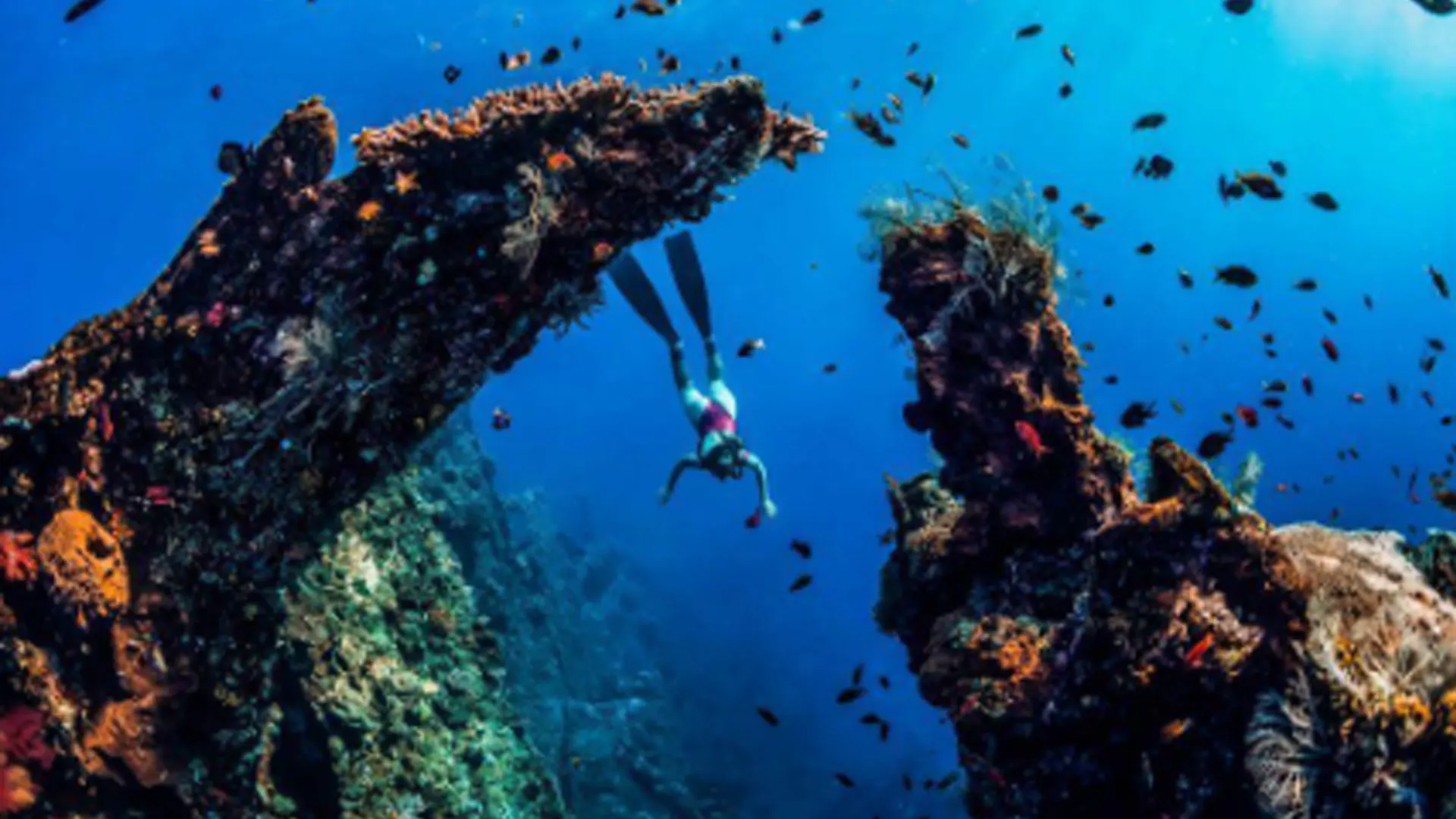 Serene Beach Retreat